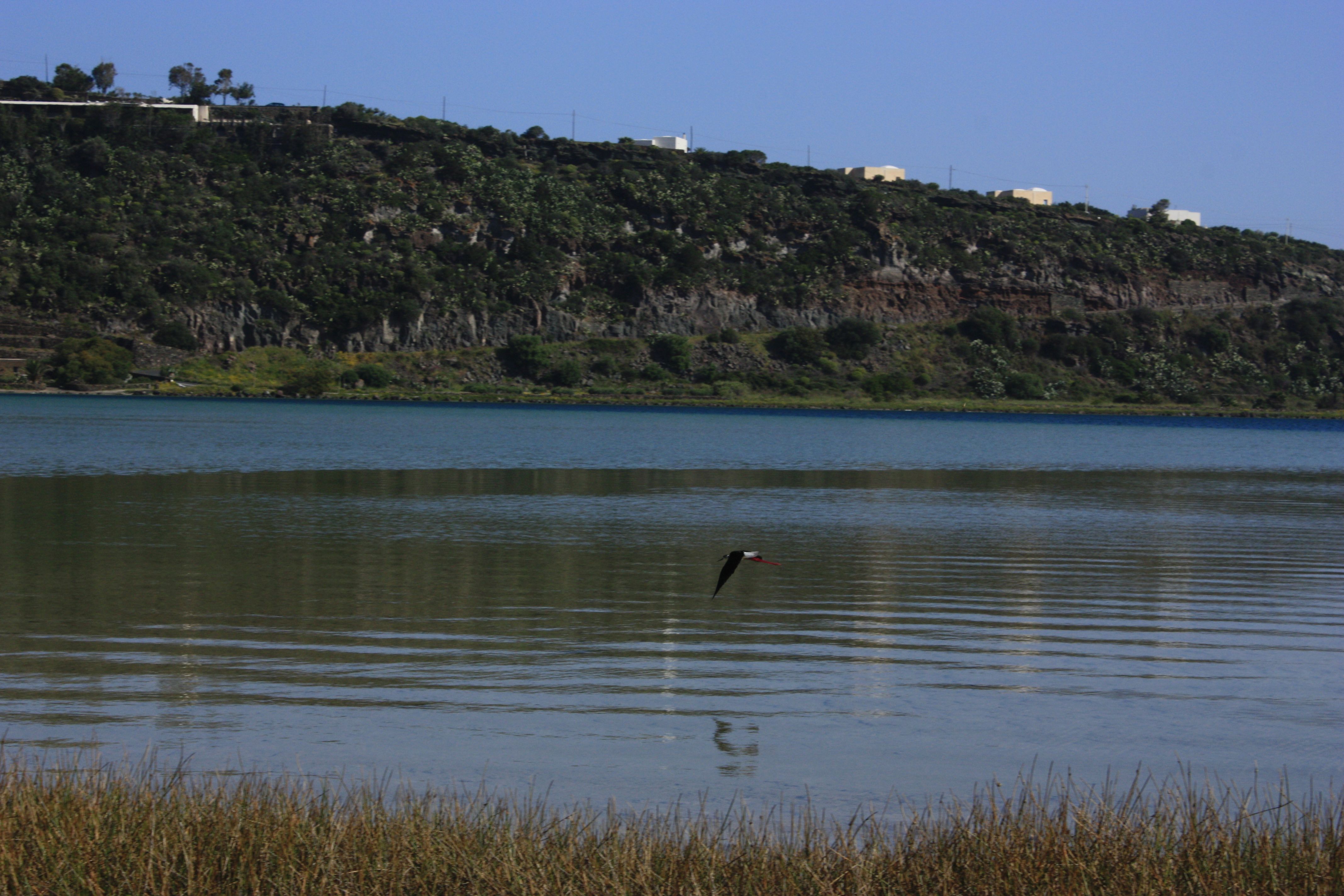 Pantelleria: il lago � meta di uccelli migratori